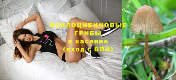 прущая мука Абдулино