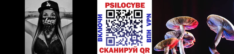 Галлюциногенные грибы Psilocybe blacksprut ссылки Алапаевск